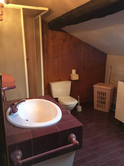 salle de bain/wc avec velux