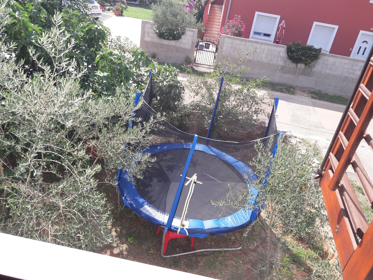 A trampoline is situated within a shaded yard, surrounded by low olive trees. The trampoline is enclosed with safety netting and features a vibrant blue rim. The area is well-maintained, providing a safe space for family activities.