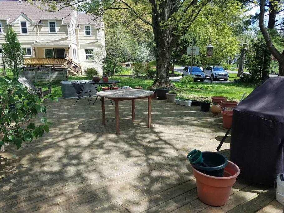 The Deck