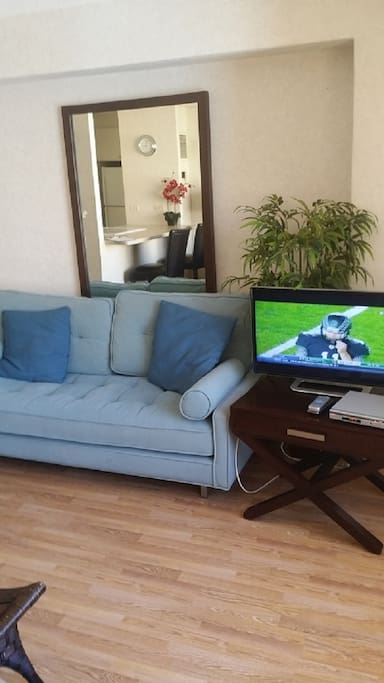 TV