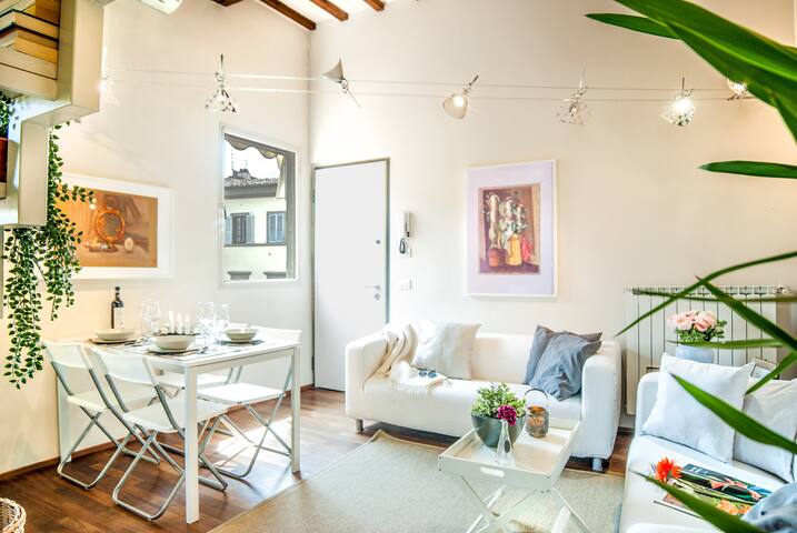 Venus – On the roofs of Florence gallery image 3