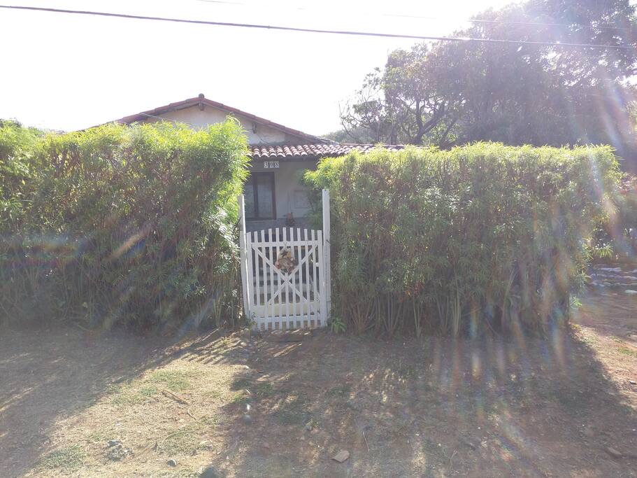 Another pic of the front.