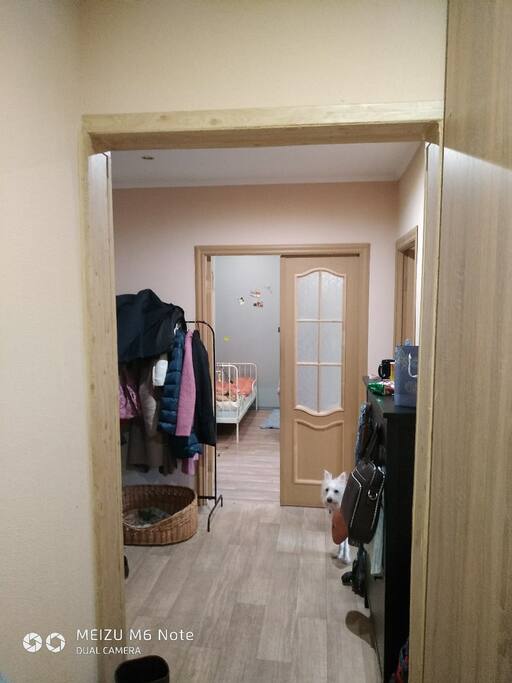 Коридор. У нас есть собачка, но она уедет на лето.