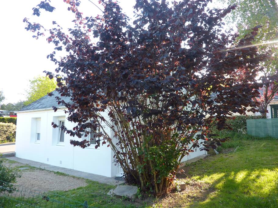 vue extérieure du gite où se trouvent deux logements avec entrées séparées et privées