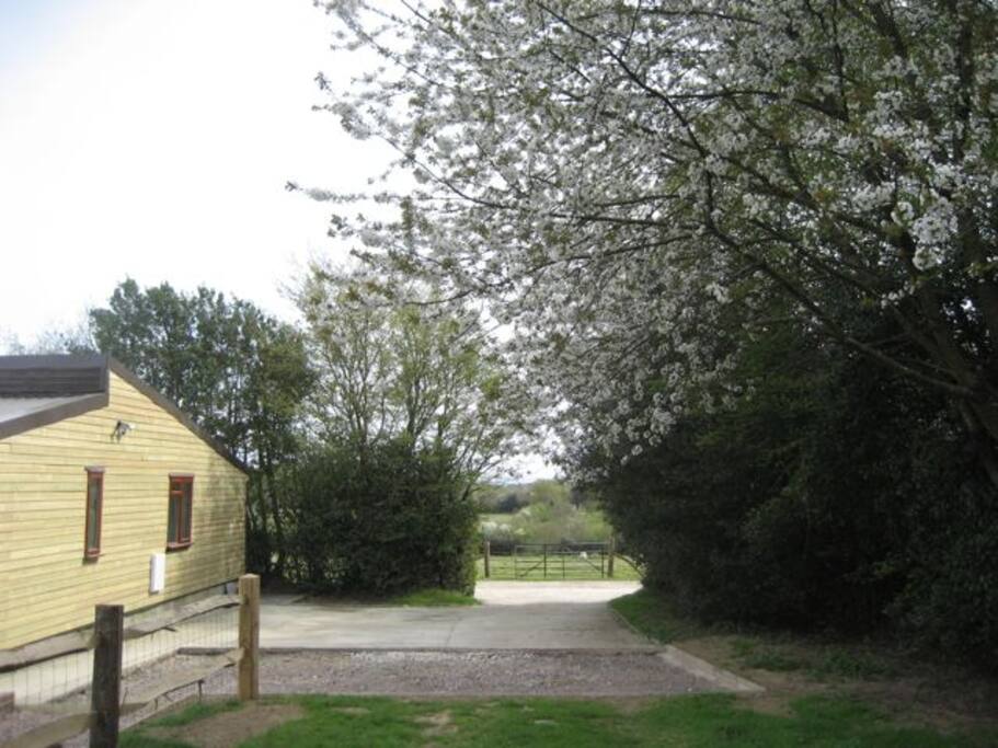 Woodside Cottages private parking
