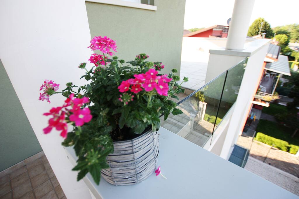 Terrazza