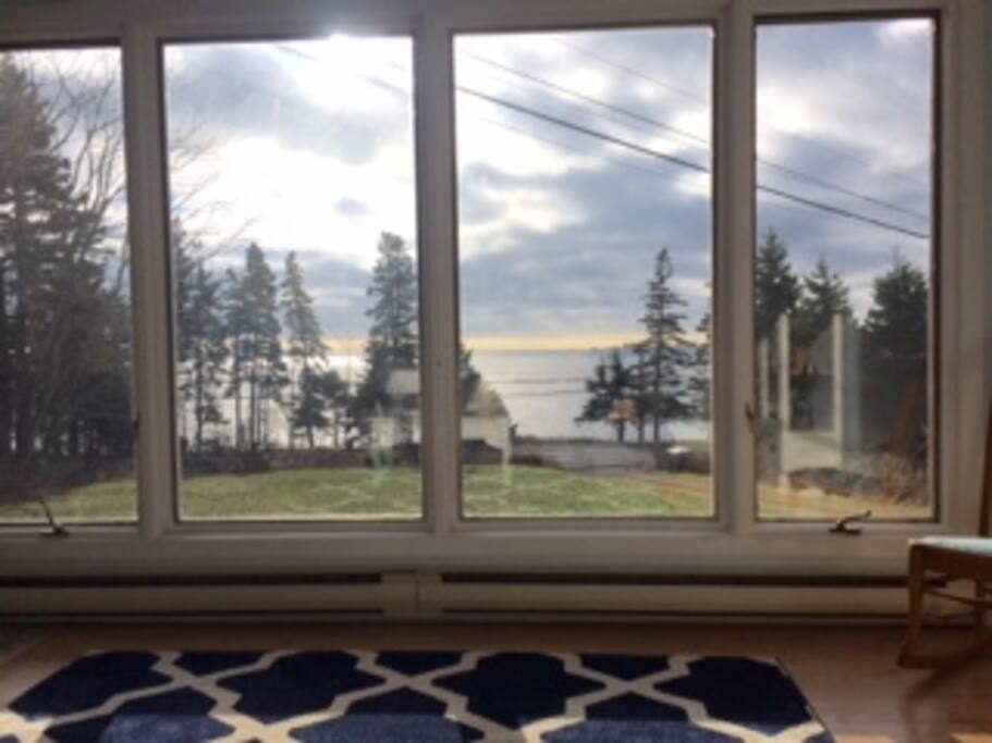 Ocean Front View