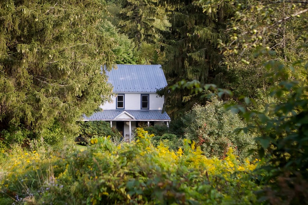 Tucked into the pines at the bottom of a gently winding driveway, the porch welcomes you to your vacation home.