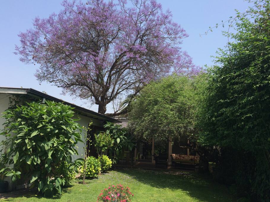 Detalles de la casa