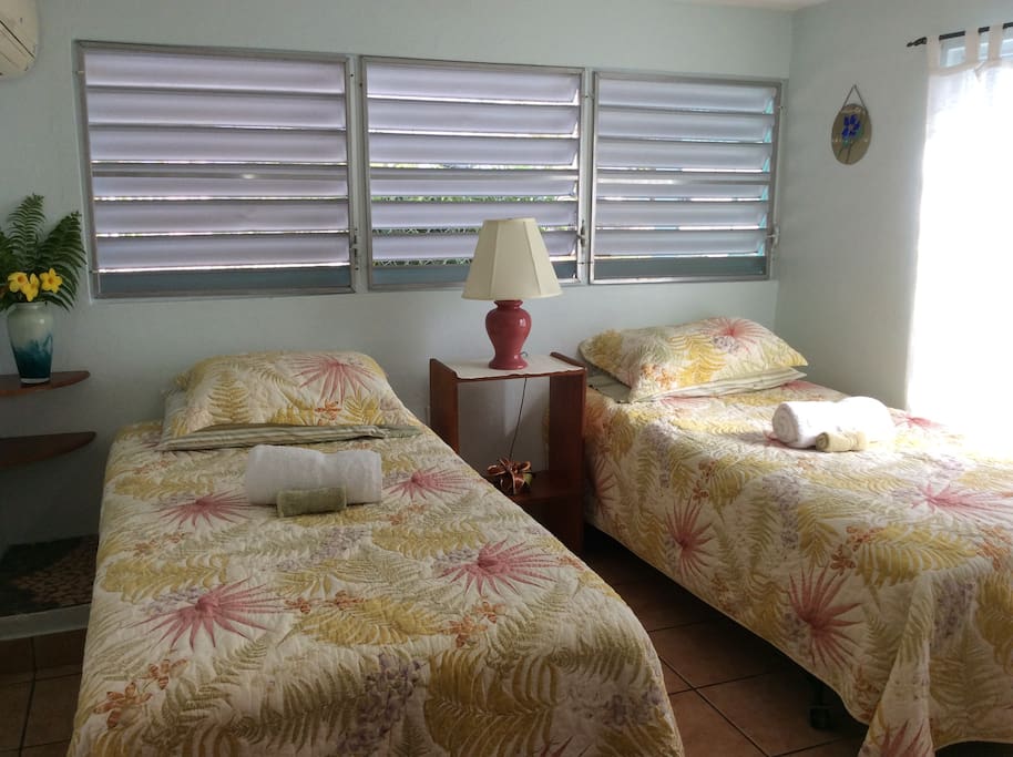The airy second bedroom has twin beds, dresser and AC.