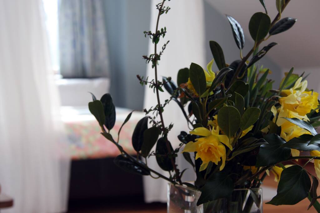 Spring flower