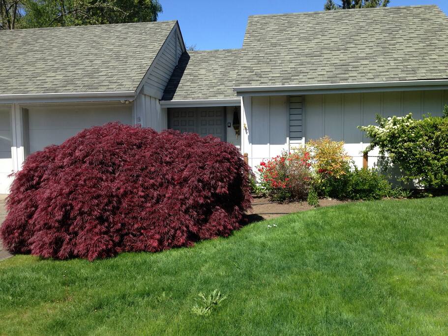 Front of house