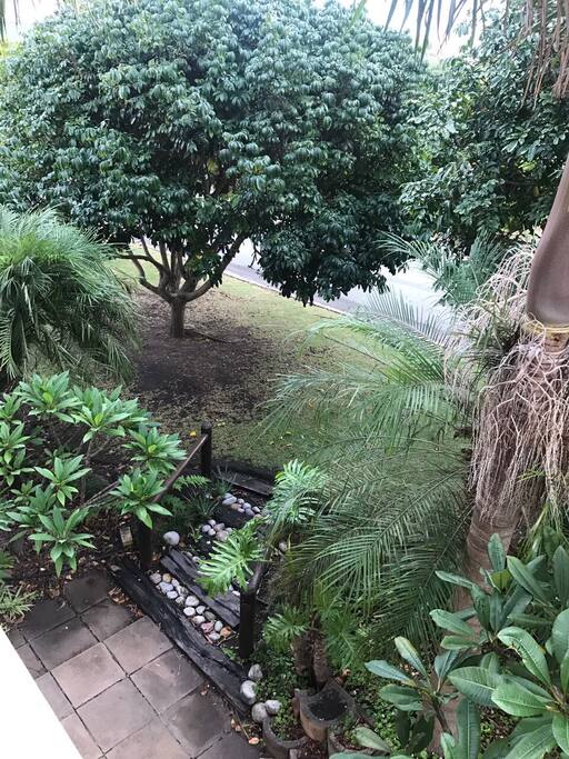 Garden.