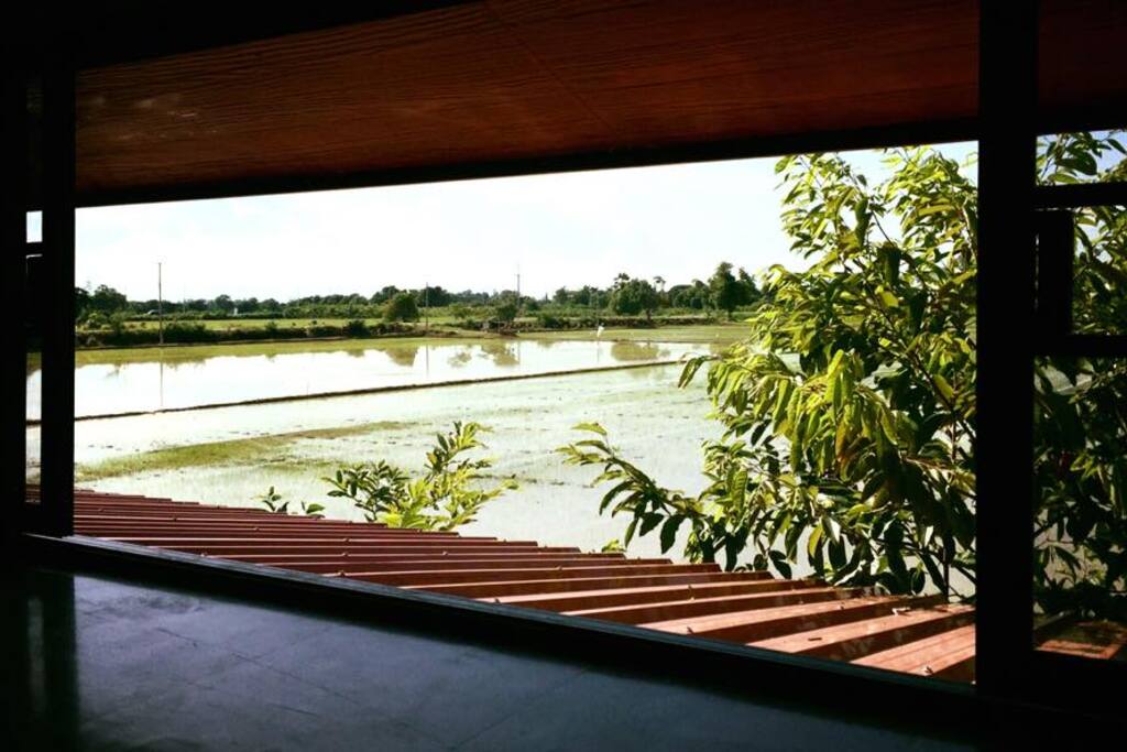 view from the room