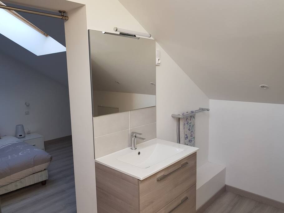 Chambre 1 - partie salle de bain (1/2)