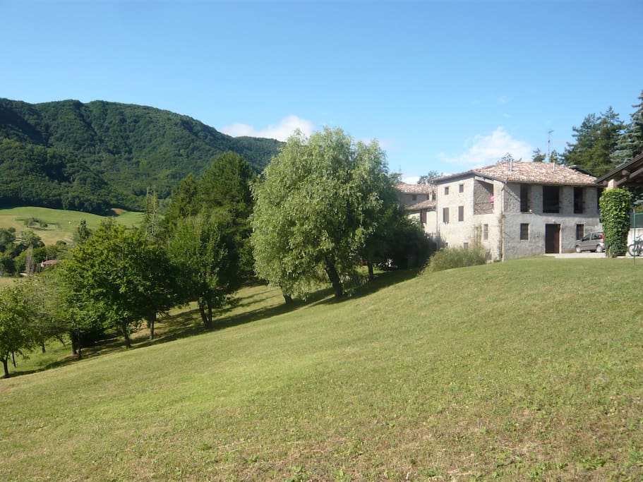 view of the house from the back