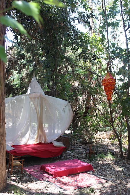 Jardin para descansar, ideal para recostarse, leer un libro y disfrutar del canto de los pájaros