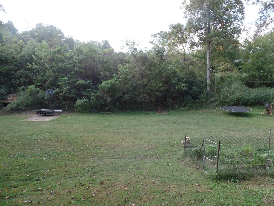 Campsite