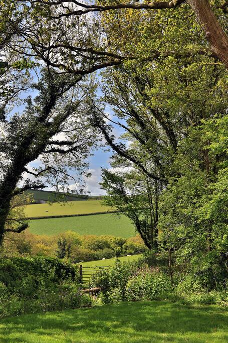 The view from the deck over rolling Cornish countryside