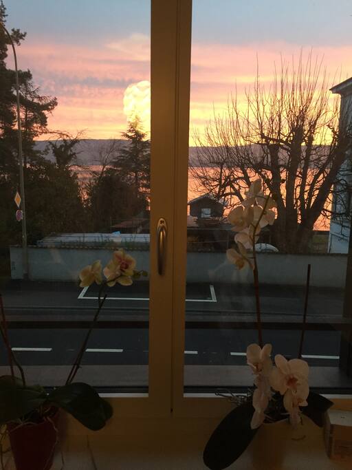 View from the dining room & corridor - nice wake up