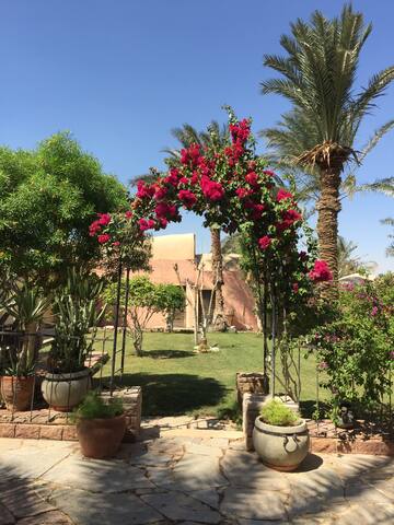 Dar Khan, a Unique Resort (East Wing)