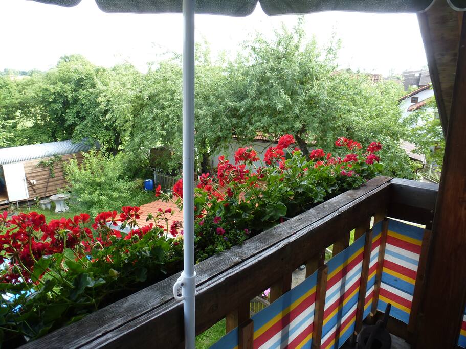 Blick vom Balkon
