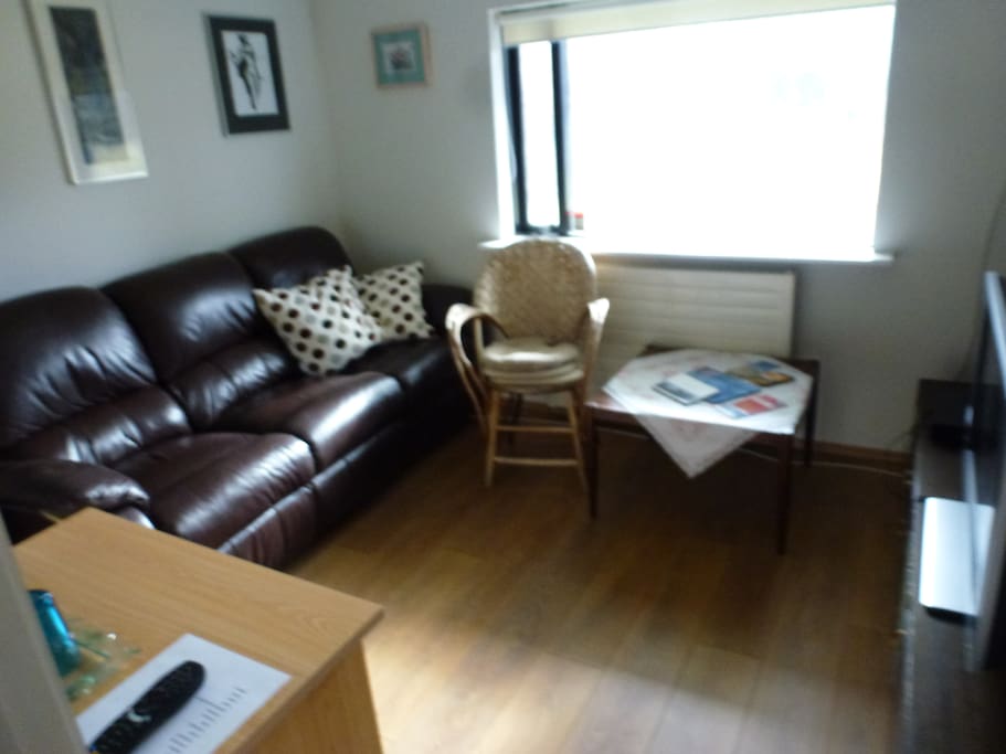 Leisure room with TV etc.
