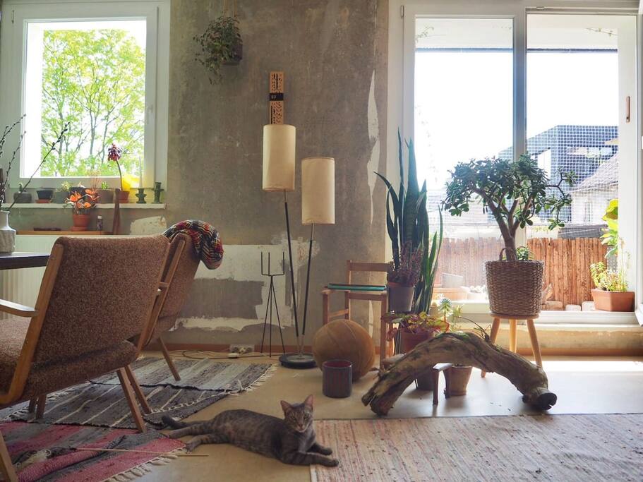 Shared Living Room