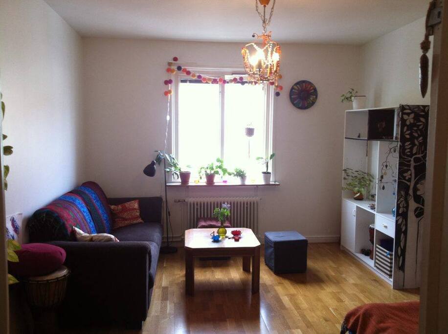 The livingroom with 1 bed and 1 sofa