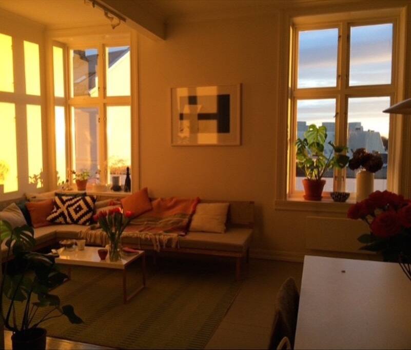 Before sun set the apartment gets flooded with golden light.
