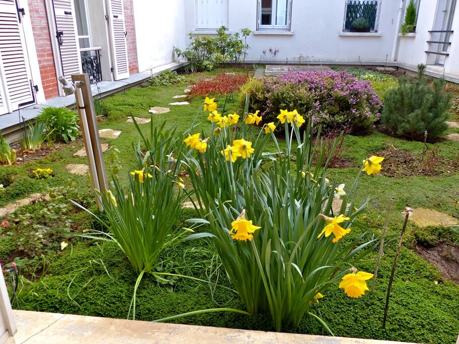 Jardin intérieur