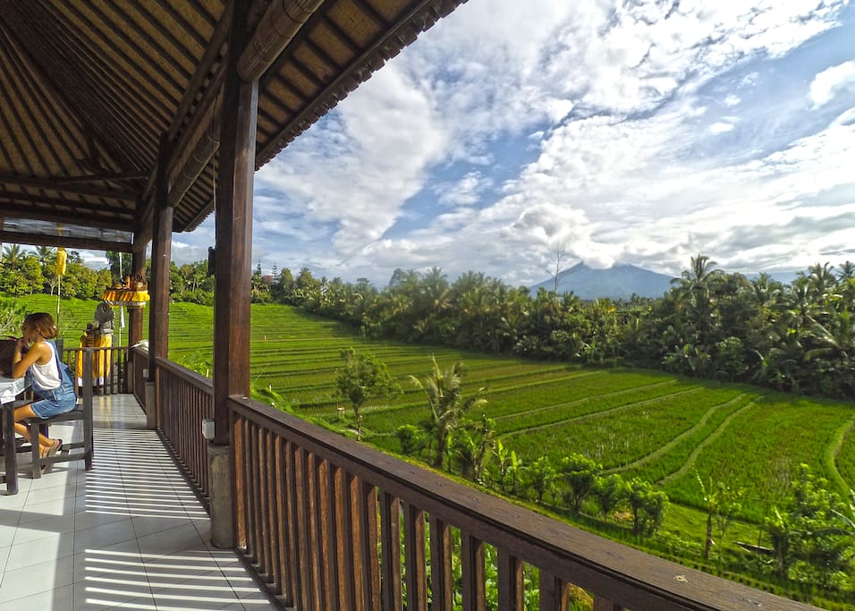 Surrounded with rice fields terrace