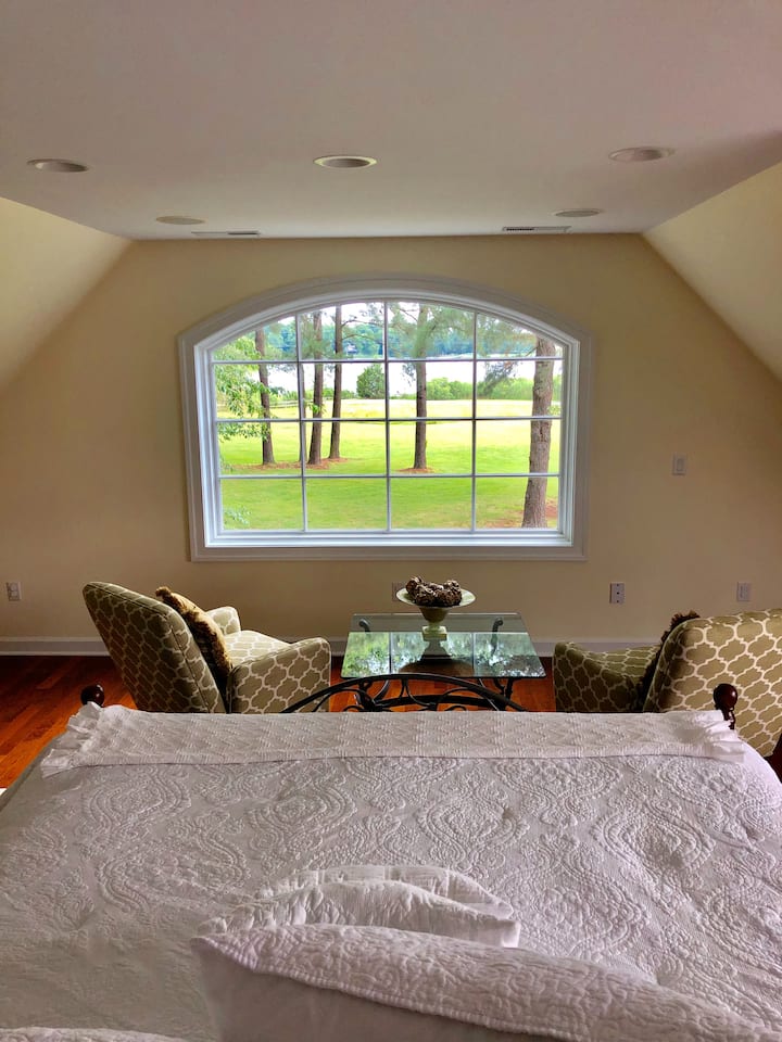 View from the bed of swan lake and the trees. 