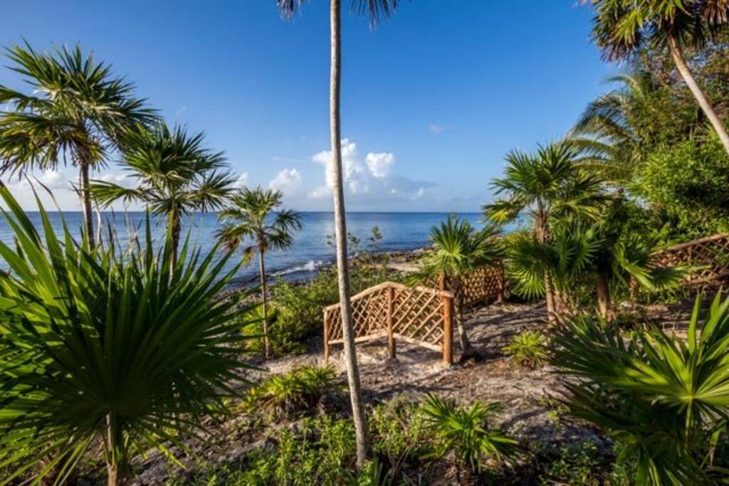 The path leading to the ocean