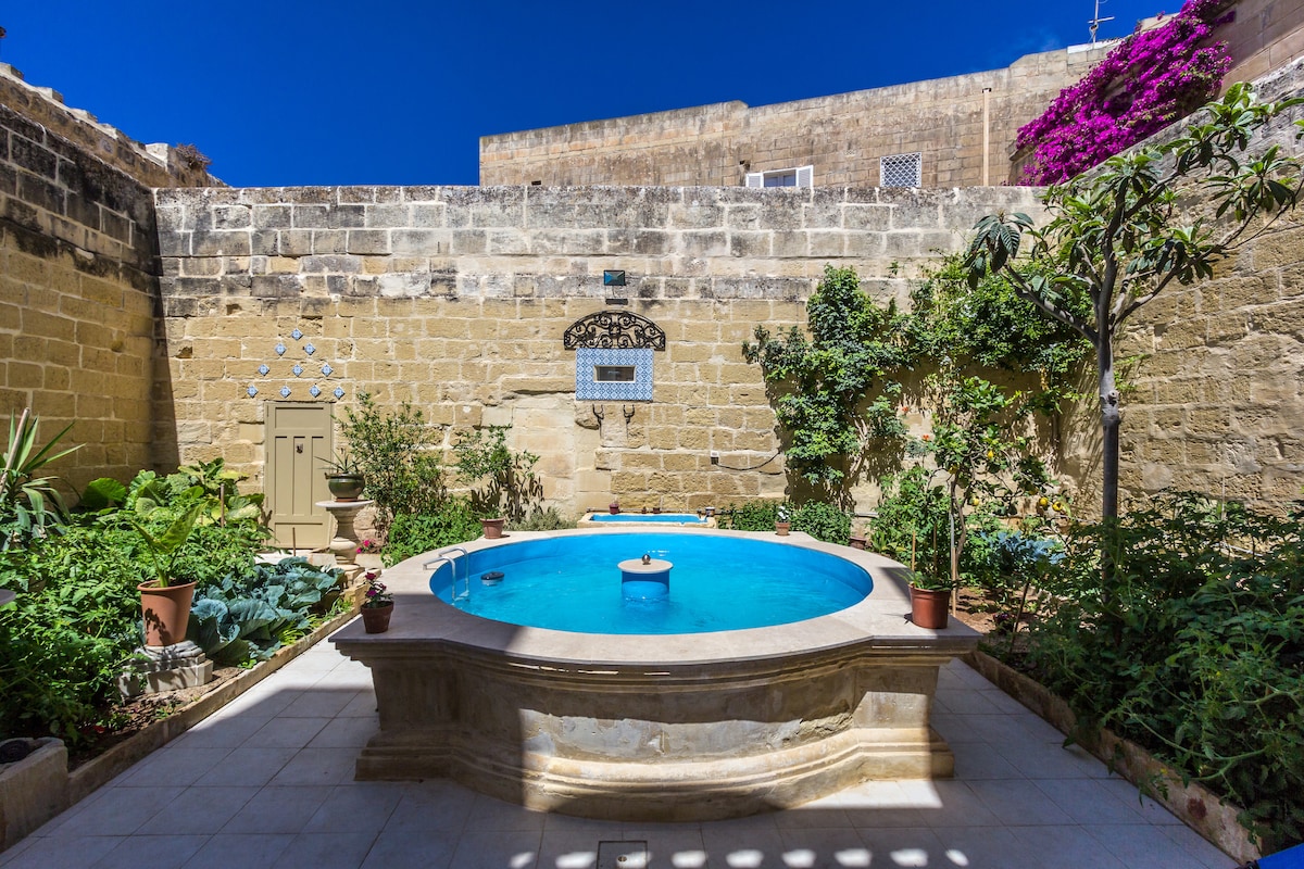 A tranquil garden features a shallow pond, surrounded by lush greenery and flowering plants. The stone walls provide a rustic backdrop, enhancing the serene atmosphere. Bright blue water glistens in the sunlight, inviting relaxation in a private outdoor space.
