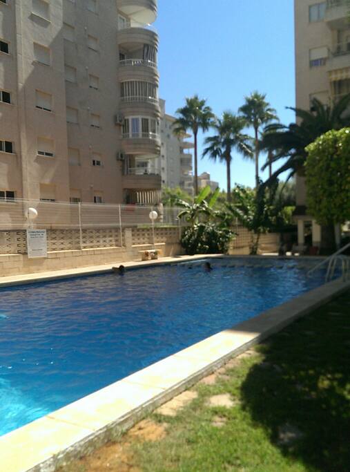 la piscina ;)