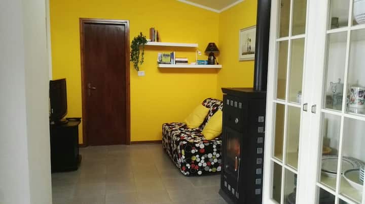 Მისაღები ოთახი გასაშლელი დივნით და ტელევიზორით