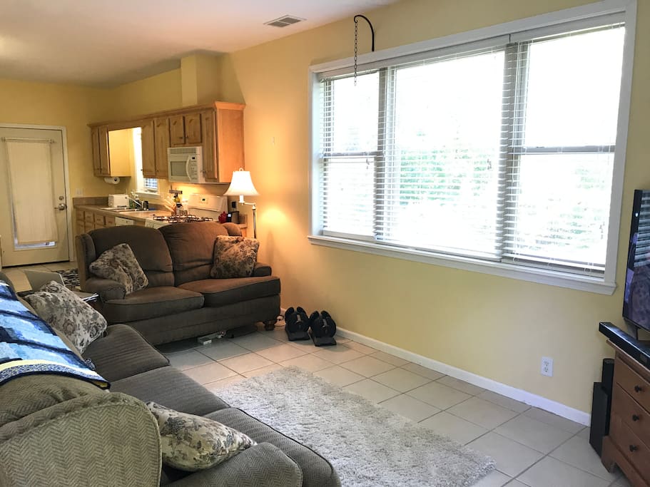 Living room. View 2.