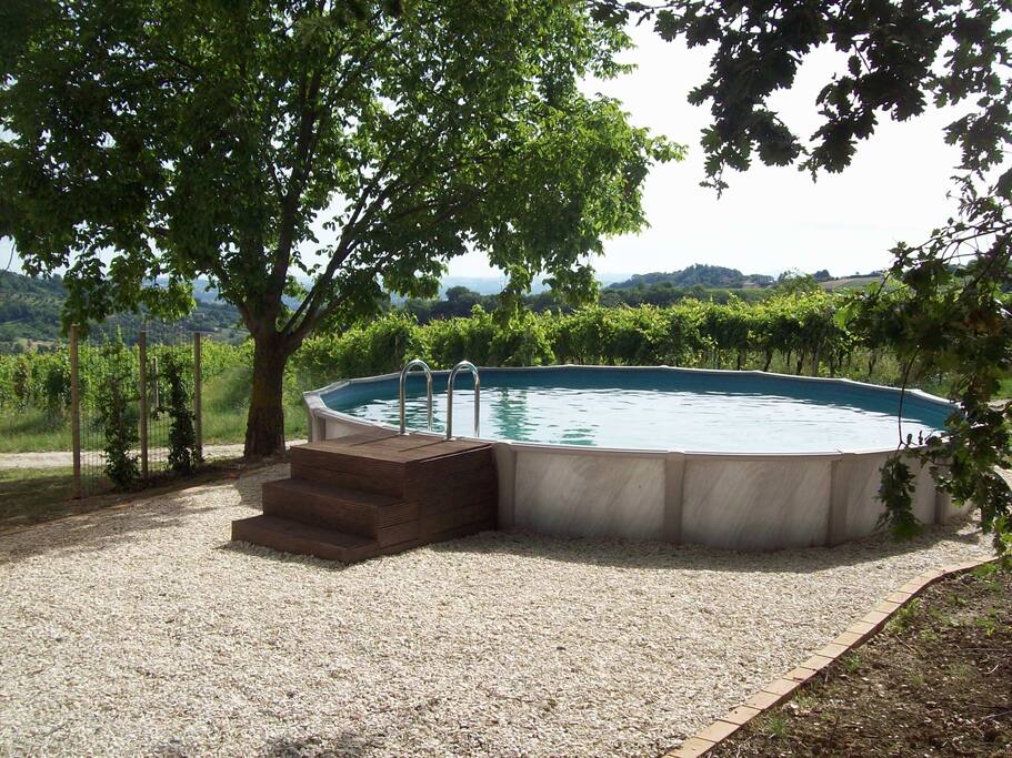 Pool safe for children