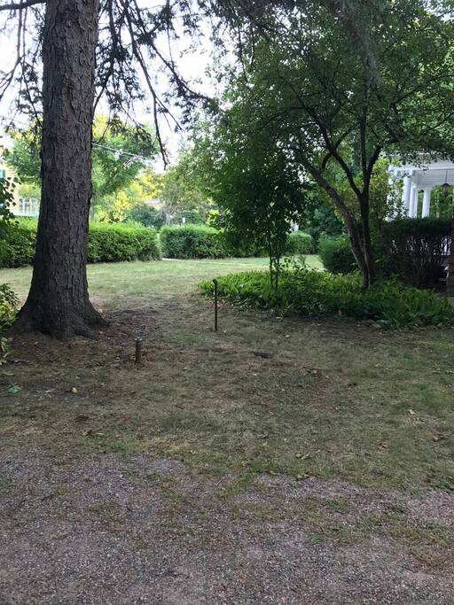 Front Yard