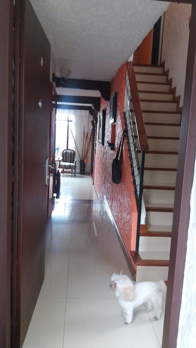 Hall primer piso y escalera