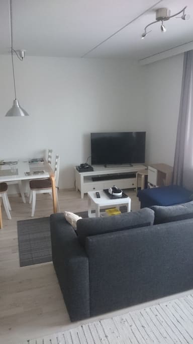 Olohuoneessa on sohva, joka tarvittaessa levittyy kahden nukuttavaksi.