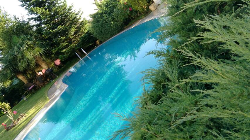 Luxurious Villa for Large Families gallery image 3