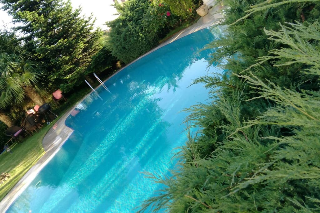 Private Swimming Pool