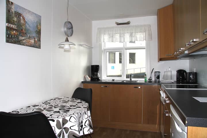 Háigardur Vik, ground floor) 2 Bdr sleeps 6, cosy