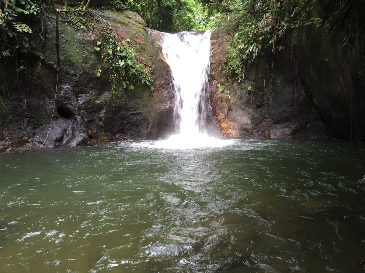 A waterfall cascades over rocky terrain, creating a gentle drop into a serene pool. Surrounding vegetation features lush greenery, enhancing the tranquil atmosphere. The water appears clear and inviting, reflecting the natural beauty of the environment.