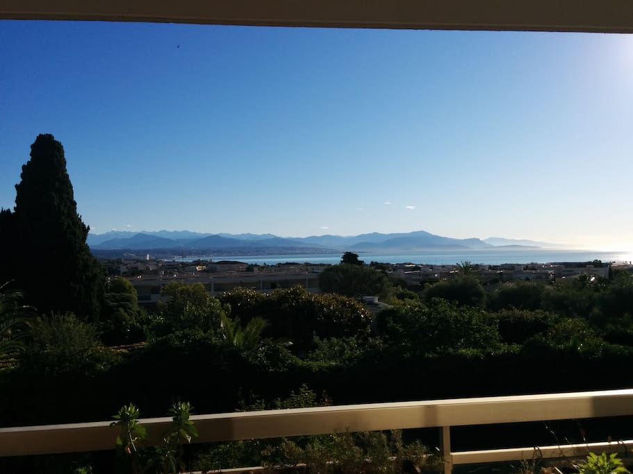 Morning sunshine