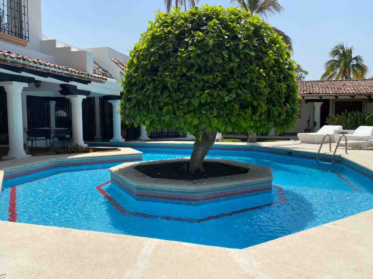 A spacious swimming pool is surrounded by a concrete deck, featuring a central island with a large lush tree. White lounge chairs are positioned nearby, with a view of the house and palm trees in the background.