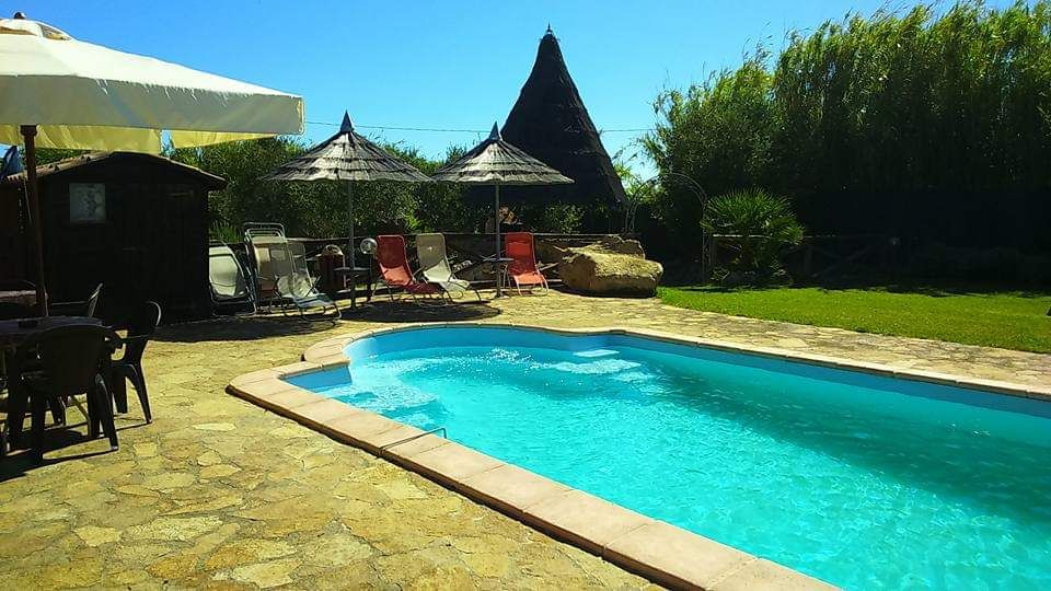 A shared swimming pool is surrounded by lounge chairs for relaxation. Shade is provided by umbrellas, while tall greenery frames the area. The pool features a light blue hue, inviting guests to enjoy the outdoor space in a natural setting.