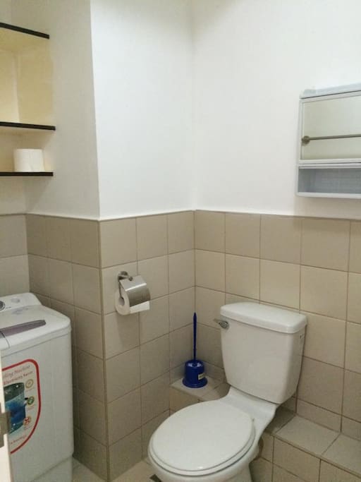 toilet and the washing machine